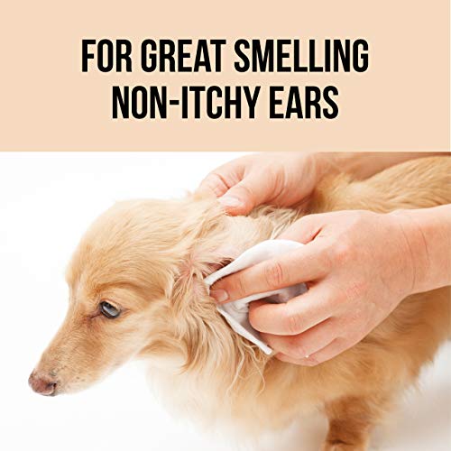Natural Rapport Dog Ear Cleaner - The Only Ear Cleaner Dogs Need - Ear Cleaner Wipes for Cleaning Out Wax, Dirt, and Contaminants (Wipes, 100 CT)