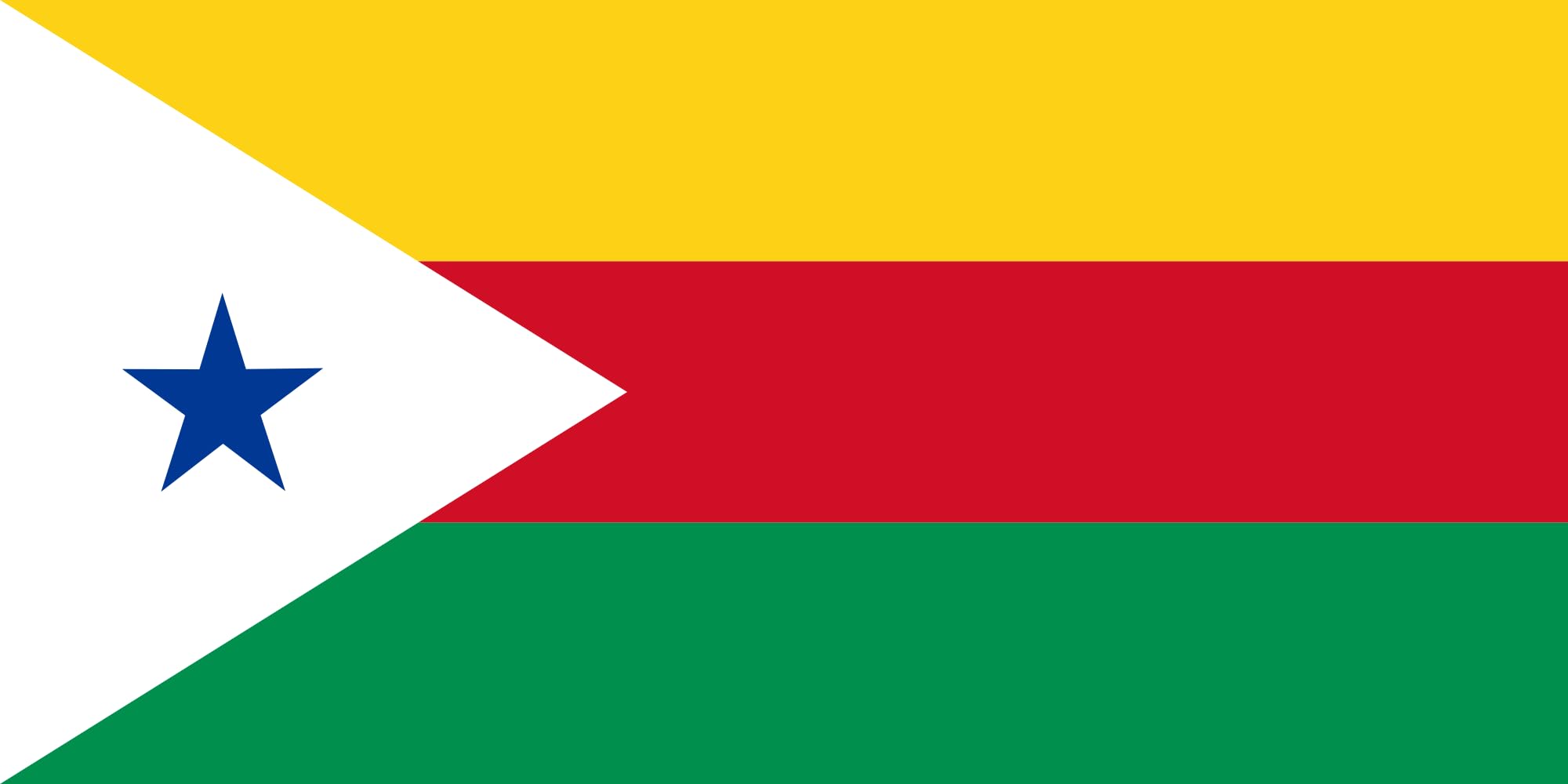 Drapeau El Carmen grand format horizontal pour mât extérieur