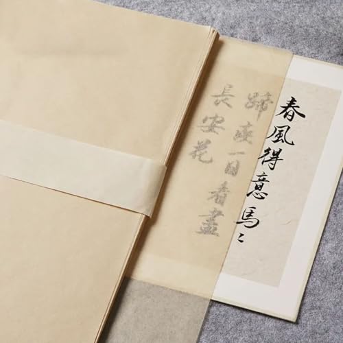 100 PCS Ancient Bamboo Pulp Handmade Cicada Wing Rice Paper - Antique Distressed, Vegetation Dyed Semi-Raw for Calligraphy, Painting & Crafts - 13.8x16.5 Inches (Antique, 13.8 × 16.5in)