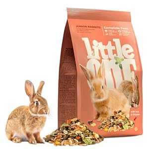 Pets Empire Little One Junior Rabbit Food 400gm Pouch | Pelleted Rabbit Food with Essential Nutrients & High Fiber | Natural Food with Added Vitamins and Minerals | Healthy Digestive System for Bunny