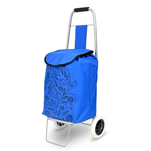 BTZHY Chariot Chariots, Caddie d'épicerie Pliant avec 2 Roues Chariot de Courses Portable en Tissu imperméable en Alliage d'aluminium léger