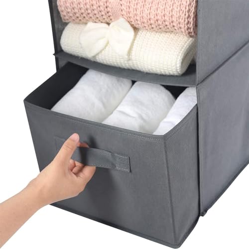 Image of MAX Houser 2 Drawer Hanging Closet Storage Organizer, Dark Grey | For Socks, Underwear & Sweaters, Space Saving Vertical Storage for Bedroom Wardrobe, Sturdy Breathable Fabric Construction