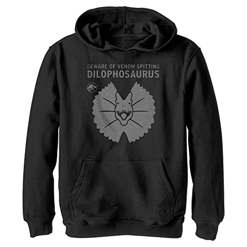 Sweat à capuche Jurassic World Dominion noir pour garçon et fille imprimé dinosaure
