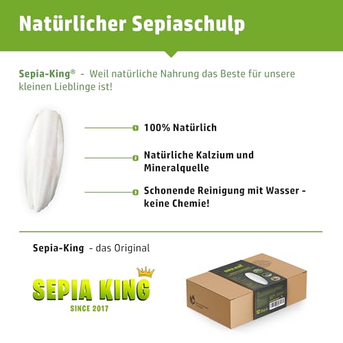 Sepia King ECO Box Sepiaschalen für Schildkröten, Vögel, Reptilien, Bartagame | Premium Sepia Schalen Futter, natürliche Kalzium Quelle, 10-15cm, Terrarium Zubehör