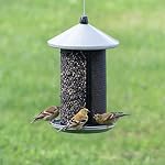 Perky-Pet Feeder de graines d'oiseaux sauvages à deux mailles - Ça tient jusqu'à 2.85 lb Graines d'oiseaux sauvages - Dual Compartiment pour les graines et le chardon - TSS00349