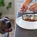 Messy Mutts Double Silicone Feeder with Stainless Bowls | Non-Skid Food Dishes for Dogs for All Pets | Dog Food Bowls | Large, 3 Cups Per Bowl | Marble