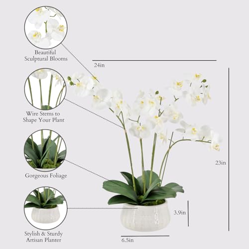 Image of CG Hunter, Faux White Orchid Plant, 23 in, White, Home Decor