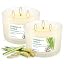2Pack-Frosted Ivory