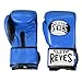 日本限定モデル・レイジェス ボクシンググローブ マジックテープタイプのスパーリング・トレーニング用グローブ 8オンス×ブルー