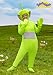 Fun Costumes Dipsy Teletubbies Costume for Adults Small