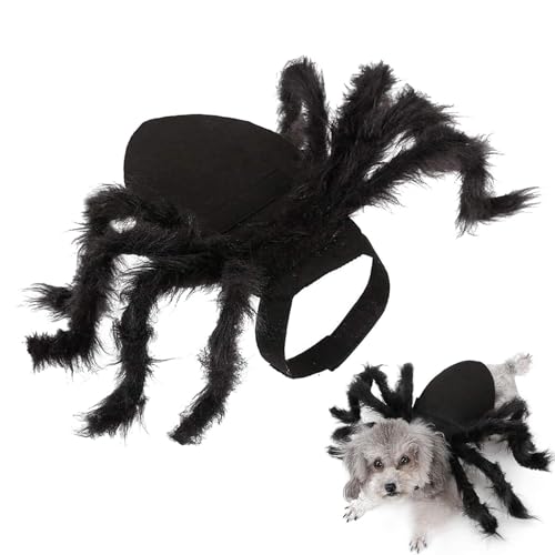 ペットのクモのコスチューム | リアルでユニークな犬猫用仮装衣装 + ハロウィン&コスプレイベント | 小型犬 中型犬 ウサギ用 面白い変装服