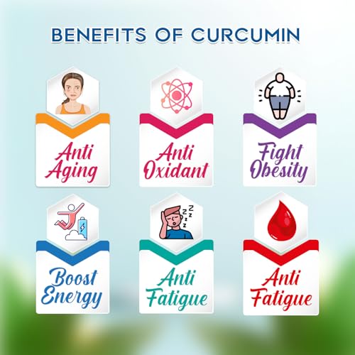 Image of Curcumin Capsules by Rajasthan Aushdhalaya | 30 Capsules | Turmeric tonic & Anti Oxidant|Pack Of 1