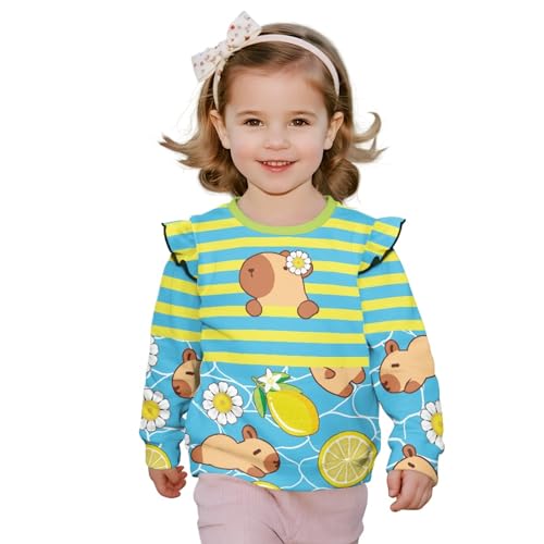 HUIACONG Kids Tee Shirt for Toddler Long Sleeve Tshirts Children Girls Shirts