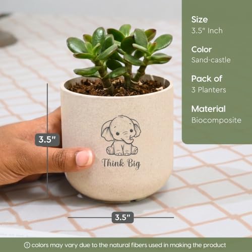 Image of Eha Earth-Friendly Printed Small Terrapod Planters for Home Decor | 3.5 Inch, Pack of 3 | Plant Gifts Made with Rice Husk Biocomposite | Flower Pot for Living Room| Sand Castle