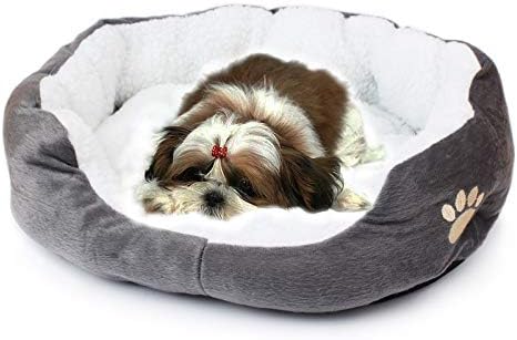 review Best Dog Supplies Comfy Pet Bed - Medium Size (24