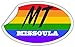 Missoula MT Montana Missoula County Rainbow Pride Flag 6 Stripes Pride Flag Euro Decal Bumper Sticker 3M Vinyl 3
