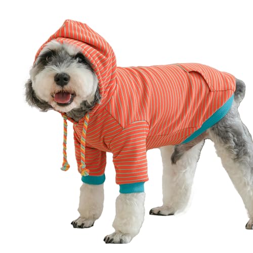 XgCvhbNp[J[Aʃt[XEH[fށAybghXEFbgVcA^pAt@bViuȔL