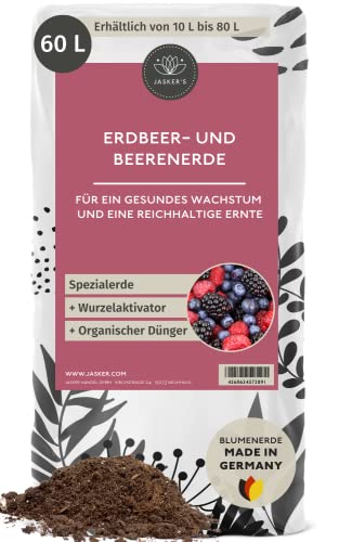 Bio Pflanzerde für Erdbeeren 60 L Dünger und Wurzelaktivator -...