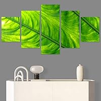 SIGNWIN 5 Panel Canvas Wall Art Organic Arrangement Modern Artwork for Home Decorations Ready to Hang - 60
