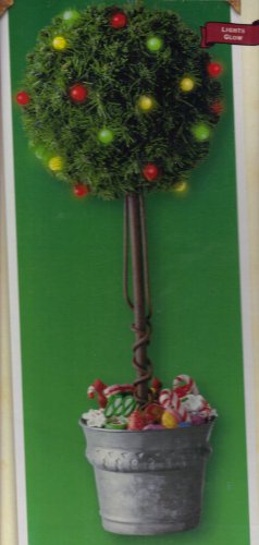 Forever Green Art CON020P 20 in. Preserved Cone in Paper Mache Pot