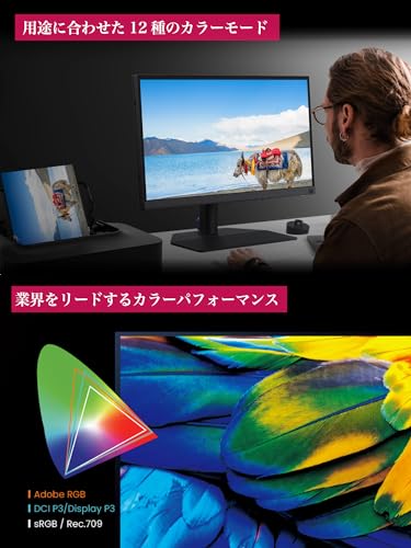 ベンキュージャパン SW242Q