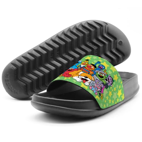 Popfunk Sesame Street Group Unisex Adult Slides Sandals Officially Licensed Hypd Slydr Switch™4