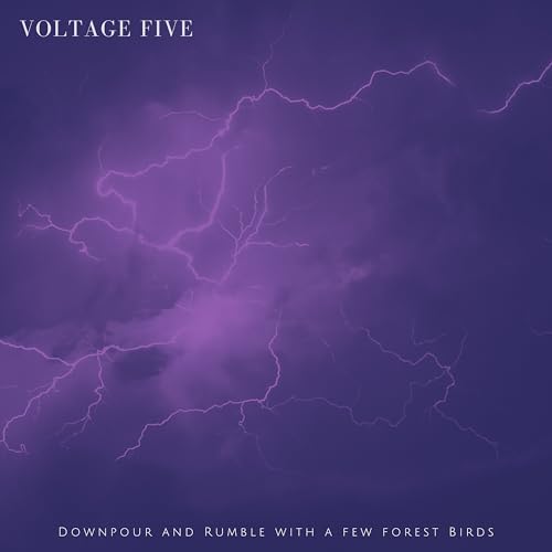 Voltage Five
