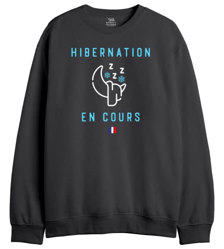 Sweatshirt à capuche homme REPUBLIC OF CALIFORNIA finitions haut de gamme