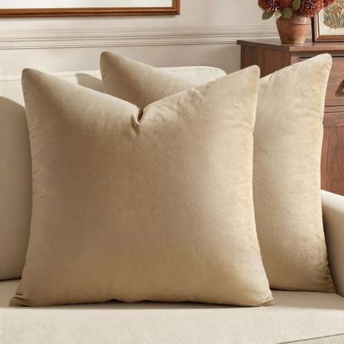 Image of MIULEE Velvet Throw Pillow Covers 20x20 Inch, Pack of 2 - Beige, Soft Solid Decorative Pillow Covers Cushion Cases Modern Luxury Home Decor for Spring Couch Sofa Bedroom Livingroom