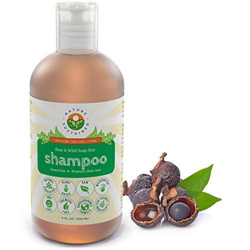 Natural Shampoo – Organic, Raw & Wildcrafted with Probiotics, Hypoallergenic Natural & Sulfate Free Shampoo for Sensitive Scalp, Dry Hair, Dandruff, Eczema & Psoriasis, 9oz, Original