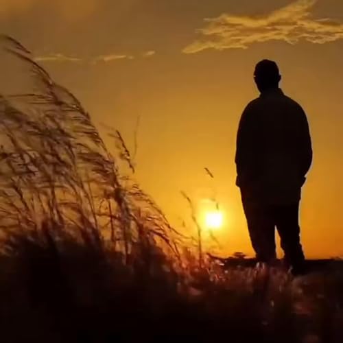 SPARK THE BRAIN cover art