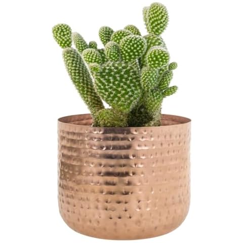 6 Inch Copper Hammered Vase by LByng Cover