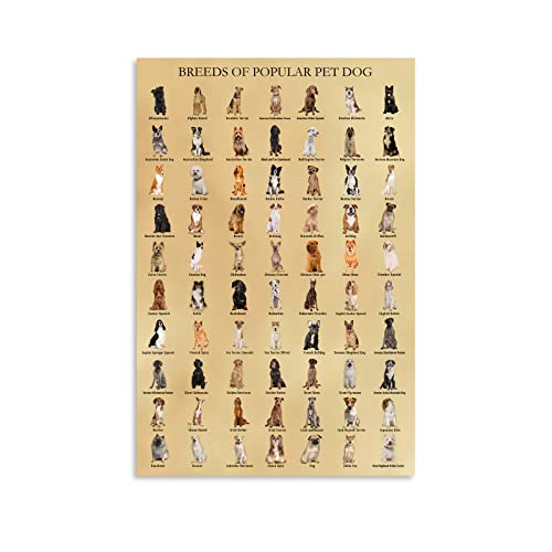 HLLNWB Póster educativo de razas de perros y mascotas, para amantes de los perros, animales, regalos para niños (sin marco, 40,6 x 61 cm)