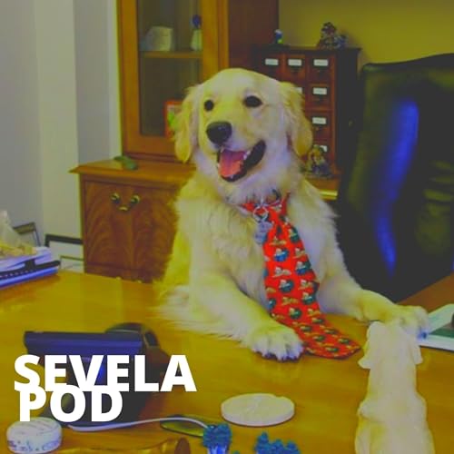 The Office, supremacistas negros e sexualidade