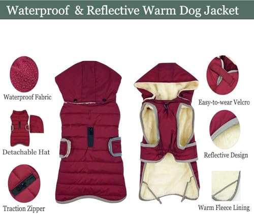 Etechydra Winter Hundejacke with Abnehmbarem Hut, Hundemantel Wasserdicht Reflektierend Hund Mantel Warme Hoodie Fleece Welpenmantel, Jacken für Kleine Mittlerer Große Hunde, Rot, XS
