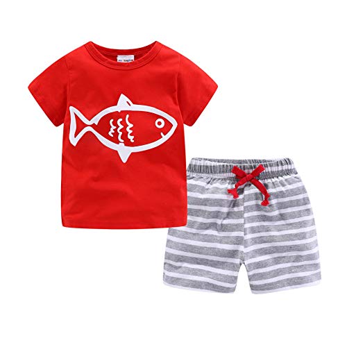 Image of LittleSpring Boys Summer 2piece Outfits Short Sleeve T-Shirt and Shorts Set
