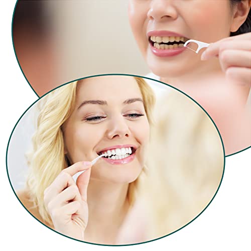 Wllhyf Dental Floss 4 Pcs Travel Dental Floss Case Portable Case Refillable Dental Floss Picks Organizer 40 Picks Professional Toothpicks Sticks For Family Hotel Travel Women Men Teeth Cleaning #TOP6