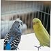 BESPORTBLE 100pcs Bird Cage Liners Non Woven Fabric Parrot Cage Cushions Absorbent Fecal Tray Pads for Bird Environments