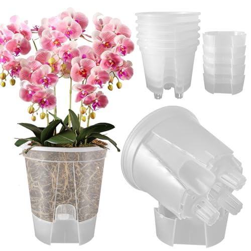 Cdd's Path 5-Pack 6-Inch Self-Watering Planter Pots
