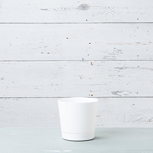 Miniatura 4 de Maceta cilíndrica redonda de profundidad completa