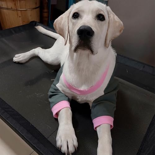 Image of Dog Elbow Pads Knee Protector Wraps Elbow Callus Treatment Sleeve for Wounds Front Legs Stop Licking Medium Large Dogs L, Grey