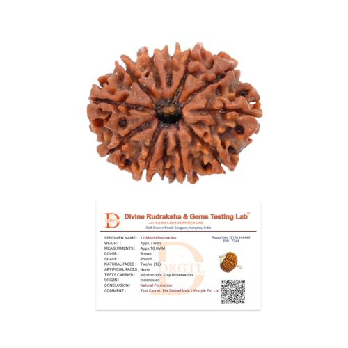 Image of Divine Hindu Original 12 Mukhi (Twelve Face) Indonesia Rudraksha | Dwadash Mukhi Rudraksh Bead for Meditation & Spiritual Growth | Natural Rudraksha for Men & Women | Prayer Bead for Success, Peace