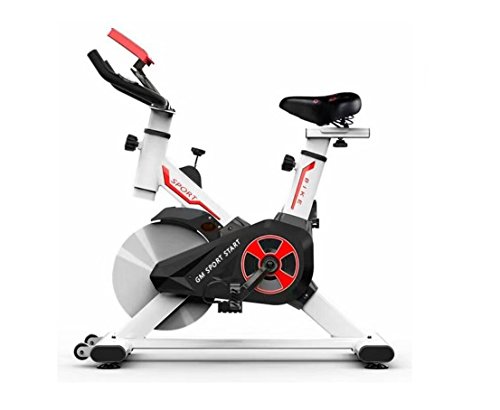 GELUSA Bicicleta ESTÁTICA Ciclo Indoor GM Start 10 Kilos