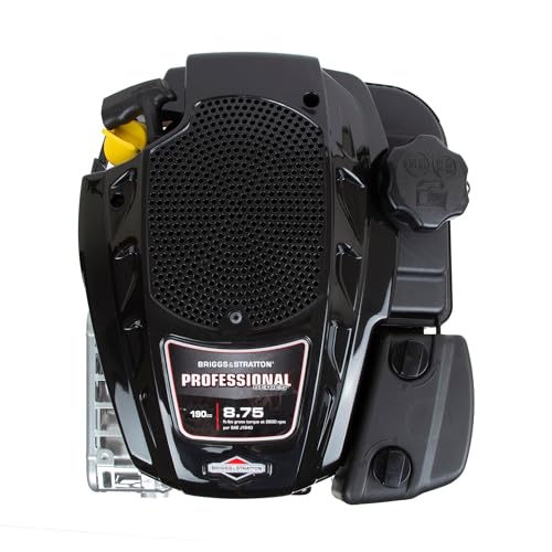 Briggs & Stratton 875 Professional Series Engine, Black
