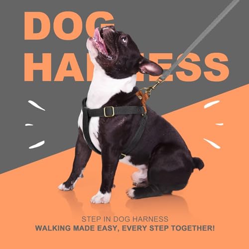 Image of Didog Step in Dog Harnes for Small Dogs, Black, S, Chest 14-22 inch