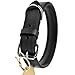 Schnüffelfreunde Halsband für Hunde aus Leder, Hundehalsband für den großen, mittleren und kleinen Hund, Lederhalsband gepolstert, robust (L - 36-45cm, Schwarz)