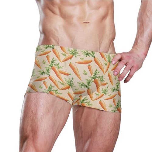 Carrot Vegetables Mens Swim Trunk Swimwear Bathing Suit Swim Brief Square Leg Board Short S B04047963