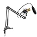 Floureon BM-800 Condenser Microphone Black+ Pop Filter Wind Screen + Arm Stand with XLR Male to XLR Female Microphone Cable for Studio Recording (Black)