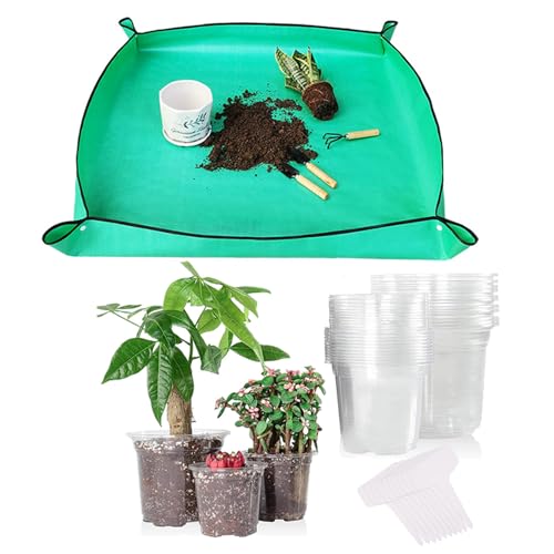 Macetas Transparentes Para Vivero Y Tapete De Trasplante, 20 Macetas De Plántulas De 4 Pulgadas Con Agujeros De Drenaje, Macetas De Semillas Duraderas De Alta Transparencia Reutilizables Para Plantas Macetas Transparentes Para Vivero Y Tapete De Trasplante, 20 Macetas De Plántulas De 4 Pulgadas Con Agujeros De Drenaje, Macetas De Semillas Duraderas De Alta Transparencia Reutilizables Para Plantas