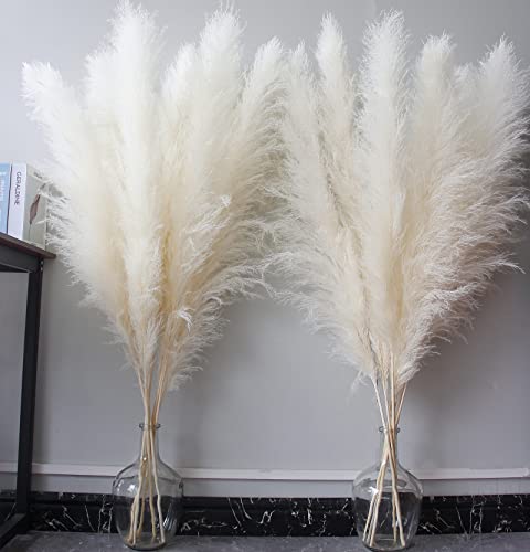 46' inch 10 Stems Cream Pampas Grass Decor Tall,...